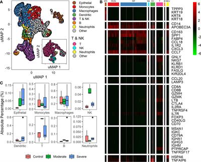 On Deep Landscape Exploration of COVID-19 Patients Cells and Severity Markers